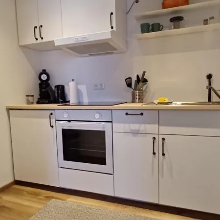 Haus Ribeiro Appartement Schluchsee Buitenkant foto
