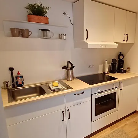Haus Ribeiro Appartement Schluchsee Buitenkant foto
