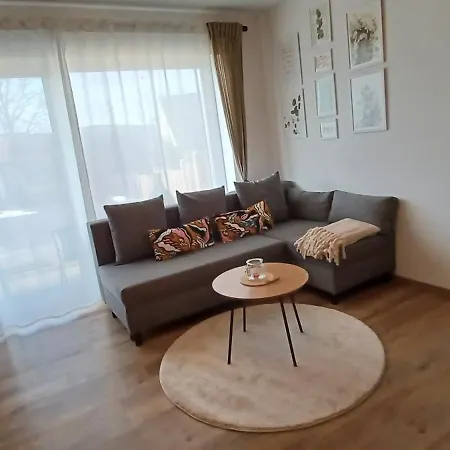 Haus Ribeiro Appartement Schluchsee Buitenkant foto
