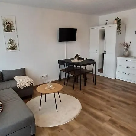 Haus Ribeiro Appartement Schluchsee Buitenkant foto