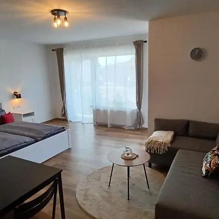 Haus Ribeiro Appartement Schluchsee Buitenkant foto