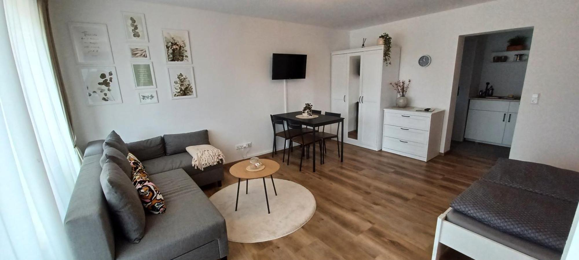 Haus Ribeiro Apartment Schluchsee